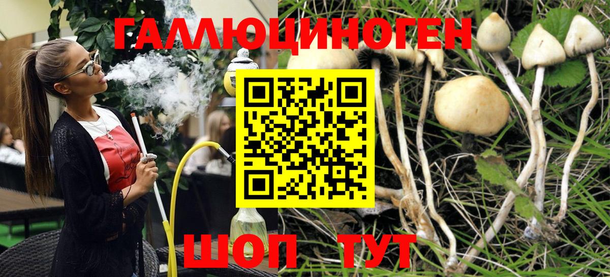 наркошоп  Вход с VPN  Галлюциногенные грибы прущие грибы  Шебекино  Псилоцибиновые грибы ЛСД 